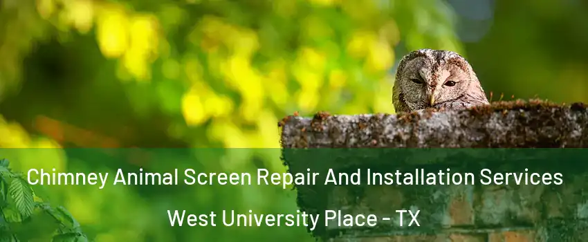  Chimney Animal Screen Repair And Installation Services West University Place - TX