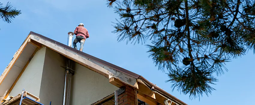Birds Removal Contractors from Chimney in West University Place, TX